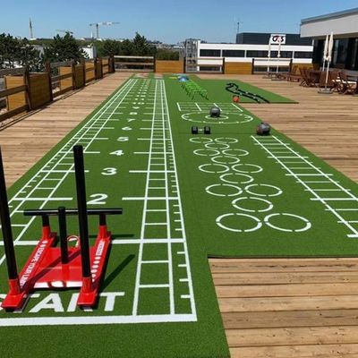 High Density Customized Logo Size Gym Accessories PE Gym Artificial Grass Floor Mat for Sport