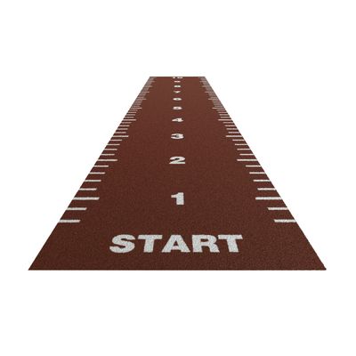 ISO9001 and ISO14001 Certified High Density Synthetic Turf Gym Flooring for Fitness
