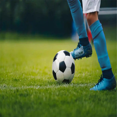 PE Green Mini Football Field Artificial Grass Soccer Field for Football Pitch Flooring