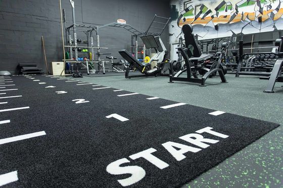 Dorelom Fitness Lawn Carpet Flooring Black Blue Rainbow Synthetic Fake Turf Gym Artificial Grass For Fitness