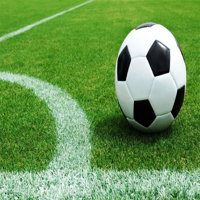 Natural Non-Infill 50mm 60mm Football Turf for Soccer Stadium and Gym Outdoor Sports