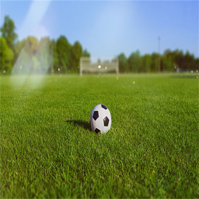 Natural Non-Infill 50mm 60mm Football Turf for Soccer Stadium and Gym Outdoor Sports