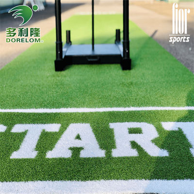 Multi-function Dorelom Multi-function Grass Artificial Color Gym Mat with Printing Logo