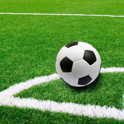 16.5 Stitch Rate Mini Football Field Artificial Grass for Gym Outdoor Sports Flooring