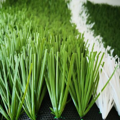 20stitches/m Stitch Rate 55mm Artificial Turf for Soccer Field Synthetic Grass