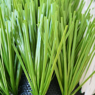20stitches/m Stitch Rate 55mm Artificial Turf for Soccer Field Synthetic Grass