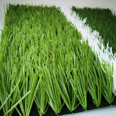 20stitches/m Stitch Rate 55mm Artificial Turf for Soccer Field Synthetic Grass