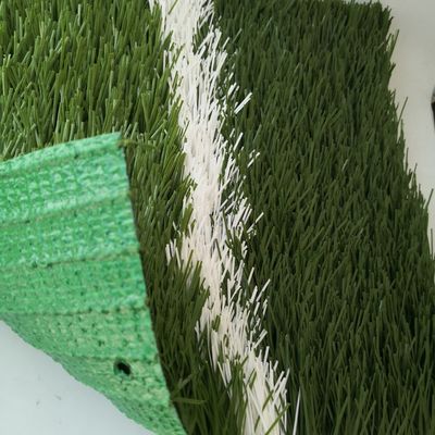 20stitches/m Stitch Rate 55mm Artificial Turf for Soccer Field Synthetic Grass