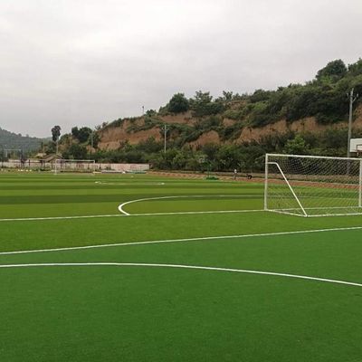 20stitches/m Stitch Rate 55mm Artificial Turf for Soccer Field Synthetic Grass