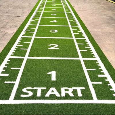 High Density 63000 Stitches/m2 Customized Gym Grass for Sports Floor and Sled Training