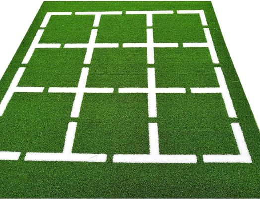 High Density 63000 Stitches/m2 Customized Gym Grass for Sports Floor and Sled Training