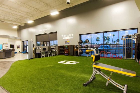 Artificial Grass with 63000 Stitches/m2 Density PE Gym Flooring Turf