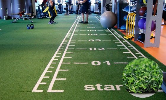 Artificial Grass with 63000 Stitches/m2 Density PE Gym Flooring Turf