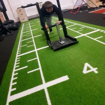 Custom Logo Design Gym Artificial Grass with Brown Turf and Double PP NET SPU Backing