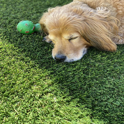 PE PP Artificial Grass for Football Turf 3m Wide 4G 25x25 4mx25m 6 by 4 15mm Dtex