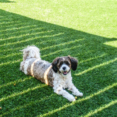 30mm Height Artificial Grass for Table Tennis in Garden Backyard Landscape Decoration