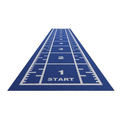 PE Sports Training Infill Synthetic Green Artificial Carpet Grass Turf Mat for Garden