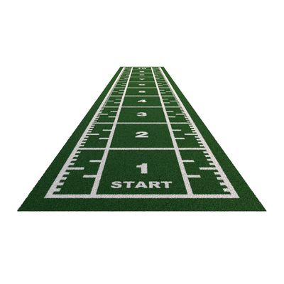PE Sports Training Infill Synthetic Green Artificial Carpet Grass Turf Mat for Garden