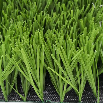Football Field W Shape Bi-Colors UV Resistant PE Monofilament Artificial Grass Turf