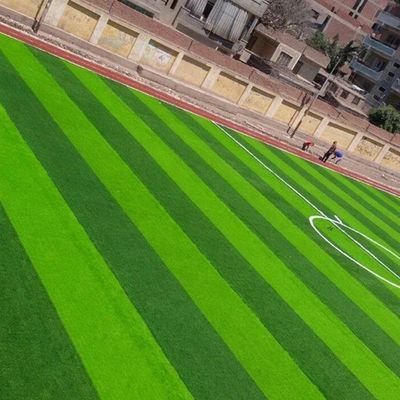 Football Field W Shape Bi-Colors UV Resistant PE Monofilament Artificial Grass Turf