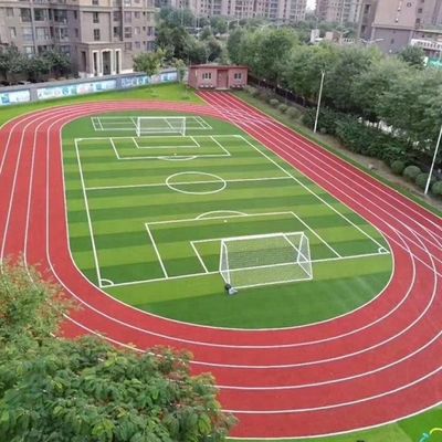 Football Field W Shape Bi-Colors UV Resistant PE Monofilament Artificial Grass Turf