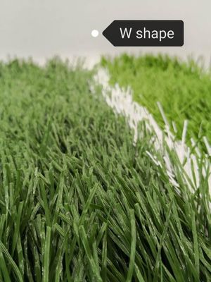Football Field W Shape Bi-Colors UV Resistant PE Monofilament Artificial Grass Turf