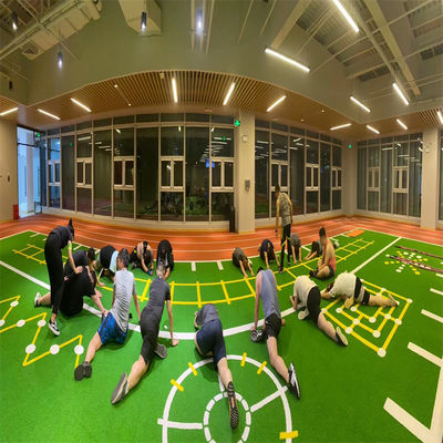 Gym Fitness Flooring Turf Artificial for Garden Football Field Gym Synthetic Grass