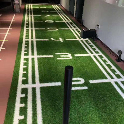 Sport Other Artificial Lawn Landscape for Golf Soccer Fields Gym Grass Synthetic Turf