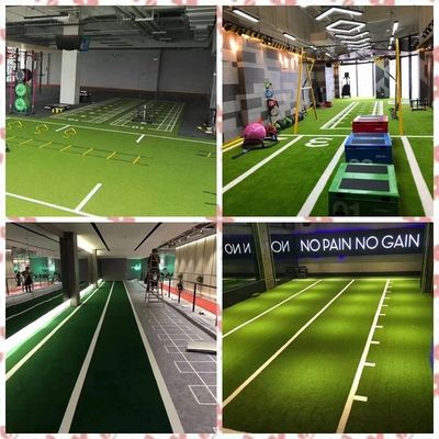 Sports Flooring Fitness Scale Training Artificial Turf Grass for Gym