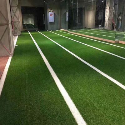 EN14904 Certified Indoor Fitness Artificial Grass Sports Flooring with Density 52500
