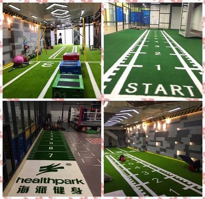 PP 52500 Density Gym Flooring Turf for Pull Sled and Gym Marked Artificial Grass