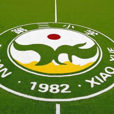 PE PP Backing Artificial Grass Logo Color Pattern Synthetic Turf Mini Football Carpet