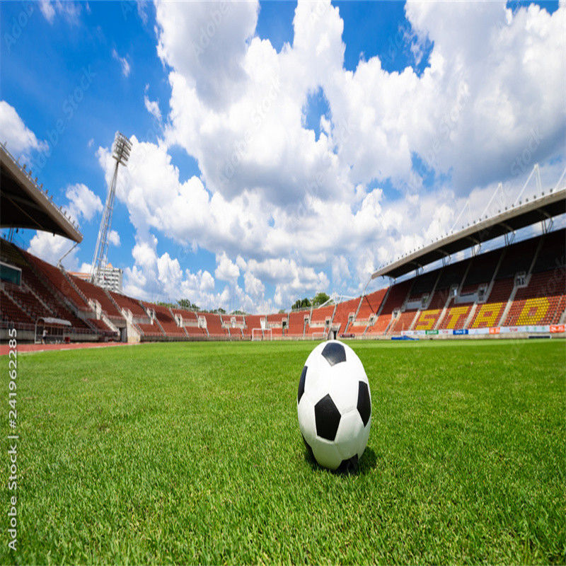 PE Green Mini Football Field Artificial Grass Soccer Field for Football Pitch Flooring