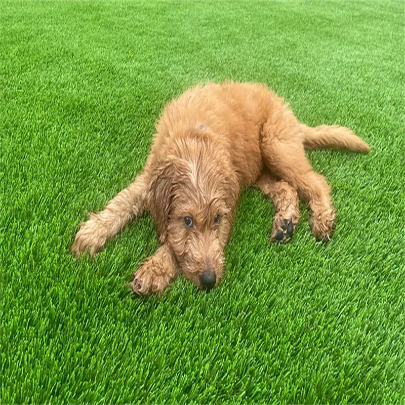 Garden Sport Synthetic Turf Grass Carpet for Wedding Landscape 16800stitches/m2 Density