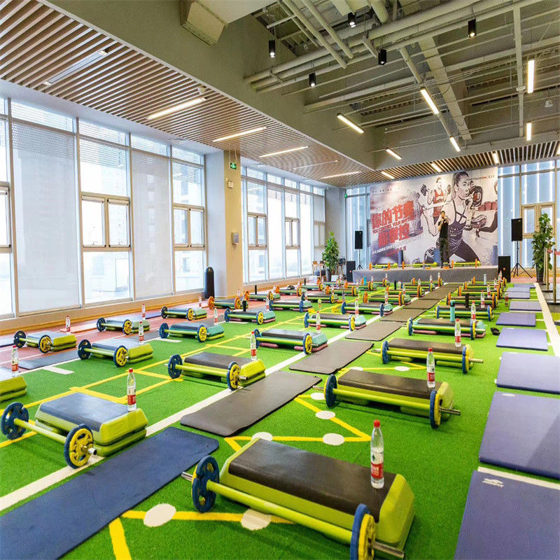 Gym Fitness Flooring Turf Artificial for Garden Football Field Gym Synthetic Grass