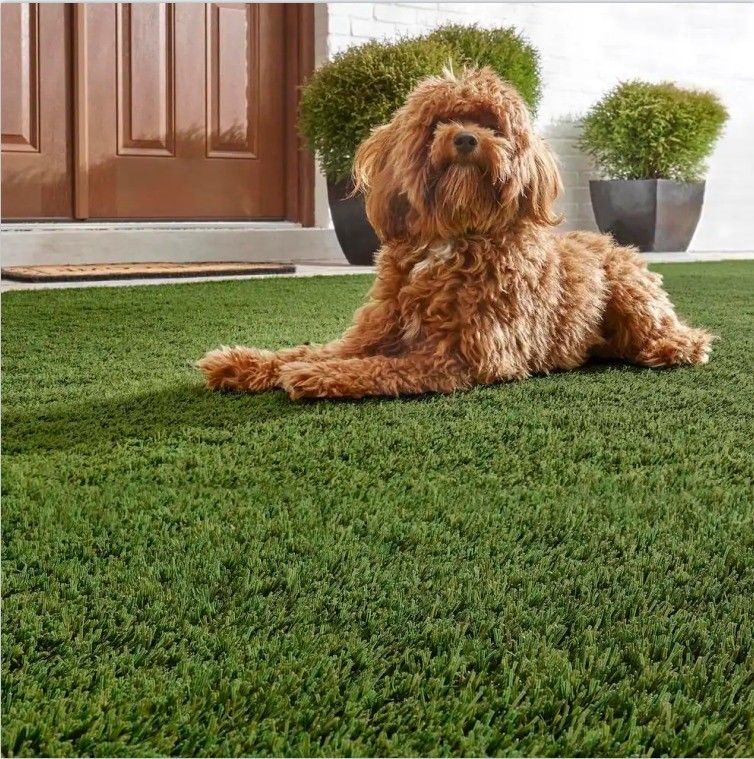 Natural Looking Artificial Grass for Garden Backdrop and Pets 2m/4m*25m 3/8inch Guage